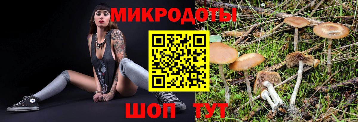 Псилоцибиновые грибы Magic Shrooms Апшеронск